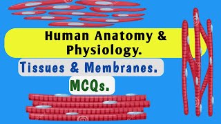 MCQs  Tissues  Membranes  Human Anatomy amp Physiology  Paramedics  MRB  RRB  EXIT Exam [upl. by Rogerg244]