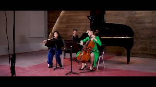 Louise Farrenc Trio op45 1er mvt Farben Trio [upl. by Ikir]