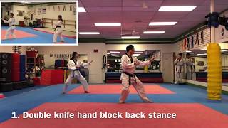 JMAP Academy Taegeuk 4 Green belt form  Poomsae Taegeuk Sa Jang [upl. by Crowley]