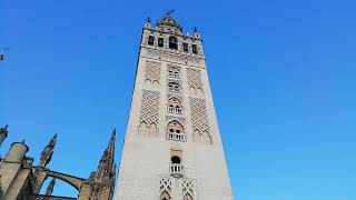 El sonido de las campanas de la Giralda de Sevilla 2021 🔔 [upl. by Eca473]