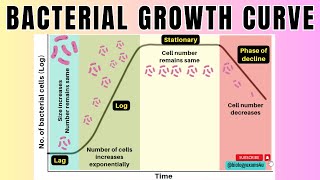 Bacterial Growth Curve in 2 minutes4 Phases of Microbial Growth Curve🦠 Microbiologybiologyexams4u [upl. by Jeniffer]