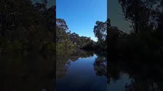 A billabong in Aussie outback [upl. by Hnahk599]