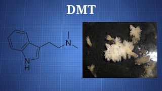 Dimethyltryptamine DMT What You Need To Know [upl. by Caiaphas]