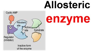 Allosteric enzyme [upl. by Ahsiugal]