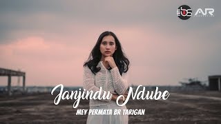 LAGU KARO TERBARU 2019  JANJINDU NDUBE  MEY PERMATA BR TARIGAN OFFICIAL VIDEO [upl. by Eiramnna3]