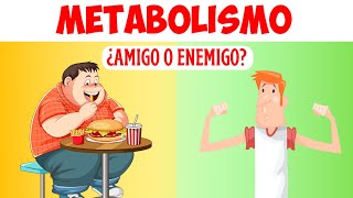 ✅Que Es El METABOLISMO y cómo FUNCIONA❓ ANABOLISMO🔴 Y CATABOLISMO🔵 [upl. by Ailemak]