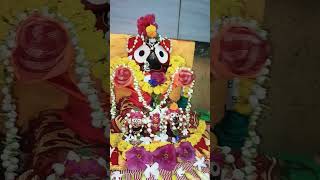 🙏🏼🙏🏼জয় জগন্নাথ মহাপ্রভু 🙏🏼🙏🏼youtubeshorts jagannath narayan highlights krishna [upl. by Chamberlain]