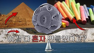 이걸 다 혼자 만들었다고  석회암의 형성과 기원Formation and Origin of Limestone [upl. by Jane]