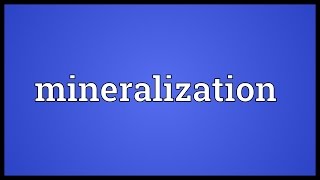 Mineralization Meaning [upl. by Malim]