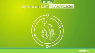 Scopri la gamma di prodotti Azotobacter di Syngenta [upl. by Dorthy]