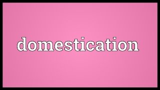 Domestication Meaning [upl. by Otecina]