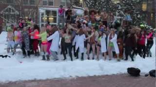 University of Guelph  Harlem Shake [upl. by Gerti]