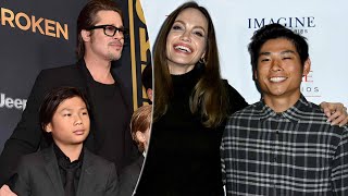 Angelina Jolie Brad Pitts 20 yearold Son Met With An ACCIDENT Hospitalized [upl. by Lenrad]