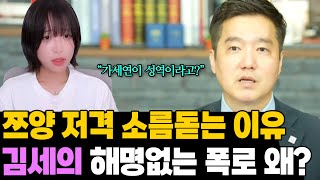 해명불가 김세의 쯔양 저격 소름돋는 내로남불 [upl. by Uos875]