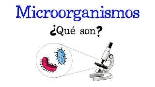 🦠 ¿Qué son los microorganismos 🧫🔬 Fácil y Rápido  BIOLOGÍA [upl. by Zile802]