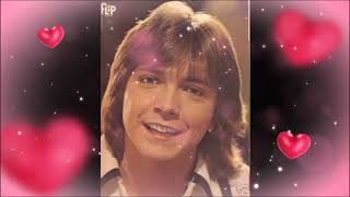 DAVID CASSIDY TRIBUTEHELLO [upl. by Ihel]