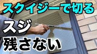 【窓ガラス掃除】スクイジーの使い方。プロ用の洗剤もご紹介。スジ・ムラを残さずキレイに。 [upl. by Kathie]