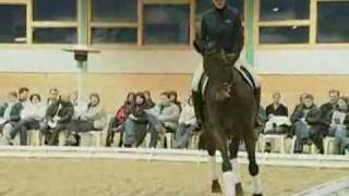 DVD  Besser Reiten  Kapitel 3 [upl. by Winser]