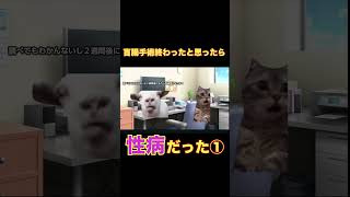 盲腸手術終わったと思ったら性病だった① 猫ミーム猫ミームの日常 shorts [upl. by Euhsoj529]