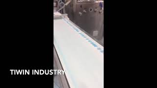 Disinfectant Tablet amp Clean Tablet Production Line [upl. by Toomay]