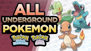 EVERY Pokemon In The SINNOH GRAND UNDERGROUND  Pokemon Brilliant Diamond amp Shining Pearl [upl. by Annovahs]