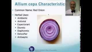 Allium Cepa Homeopathic Medicine Tips For Beginners [upl. by Vasiliu]