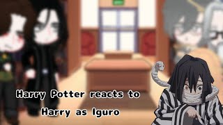 Harry Potter react to Harry as Iguro 11 [upl. by Anitnuahs]