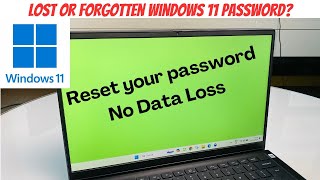 Reset Lost Forgot Windows 11 Password  Access computer again [upl. by Nairahcaz]