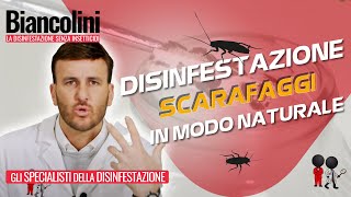 ​📌​Disinfestazione naturale fai da te Eliminare scarafaggi in casa tua grazie ad un GEL speciale [upl. by Colton]