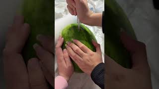 MELONE MIT OBERSCHENKEL ZERSTÖREN TUTORIAL [upl. by Yk932]