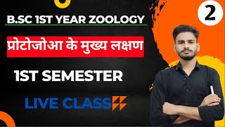 protozoa general characters and classification  BSc 1st year zoology chapter 1 in hindi  zoology [upl. by Wyck]