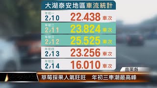 草莓採果人氣旺旺 年初三車潮最高峰│TNEWS聯播網 [upl. by Rey]