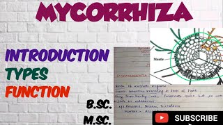 Mycorrhiza Types and Function of Mycorrhiza Ectomycorrhiza Endomycrrhiza VAM Mycorrhiza [upl. by Jenkel]