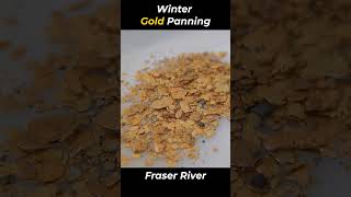 Winter Gold Panning on the Fraser River [upl. by Darryn]