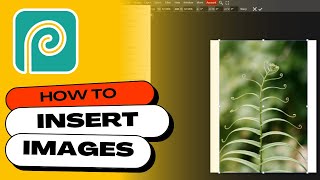 How to INSERT IMAGES into PHOTOPEA [upl. by Lauree]