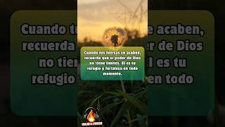 Mensaje Positivo 💌diosteama biblia dioesesbueno frases frasesmotivadoras shortscristianos fyp [upl. by Malchy]