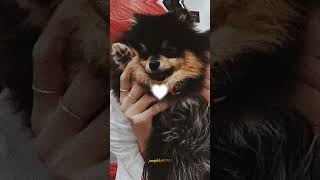 ✧⁠✿  Happy Yeontan Day   ✿✧⁠ bts happybirthday kimyeontan kimtaehyung fyp explore [upl. by Adnileb48]