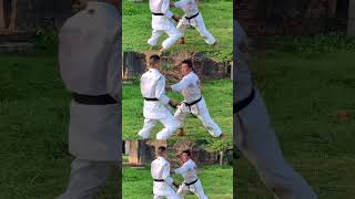 “ Đánh “ tự vệ võ thuật karate thực dụng  the real karate’s moves in street fight loitrankarate [upl. by Ezana]