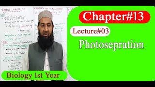 Biology Ch13Lecture03 Photorespiration FSc 1st Year [upl. by Melva]