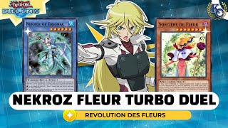 ✅📈LIMPIA EL CAMPO EN 1 TURNO  NEKROZ FLEUR YUGIOH DUEL LINKS [upl. by Lever]