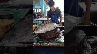 Big Tuna Cutting Skills shorts tunafishcutting food fishcutting jembatanpuri cuttingfishtuna [upl. by Betz]