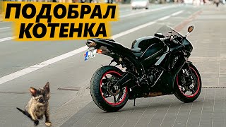 Котеночек подобранный с помойки Kawasaki Ninja 600 [upl. by Phoebe]