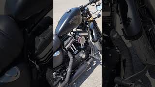 Custom Harley Davidson Sportster Iron 883 iron883 [upl. by Werdna]