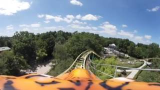 TIGRE DE SIBERIE  Le PAL  GFcoaster VR [upl. by Ennaylil970]