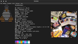 Install Retrograming for terminal in Linux MODICIA OS calamares configure linux technology [upl. by Gaivn]