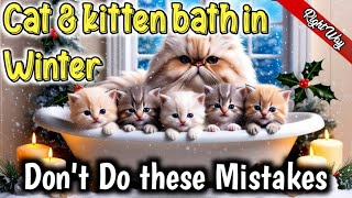 quotUltimate Winter Bathing Hacks for Persian Cats Keep Your Feline Fabulous in the Chillquot [upl. by Battiste212]