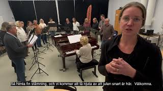 Julkonsert med Johan Stengård och Viseversa [upl. by Ised]