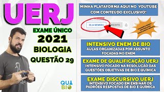 UERJ 2021  Questão 29  Divisão Celular  Considere uma mulher duplamente recessiva para dois genes [upl. by Elimaj]