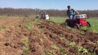 Plow DAY Watsontown PA 2016 [upl. by Romeu]