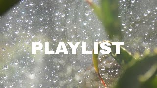 playlistwave to earth beabadoobeeclairomen i trustfaye websterlaufey [upl. by Renado]